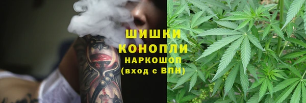 гидропоника Алагир