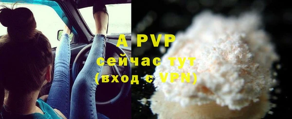 трава Магас