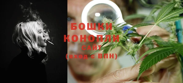 трава Магас