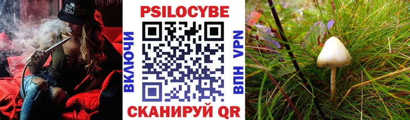 Псилоцибиновые грибы Psilocybine cubensis  mega ссылка  Юрюзань 